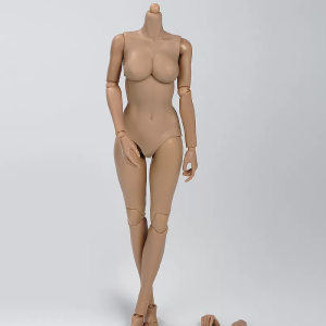 Representative 1:6 headless articulated figure base body, front torso and joint detail