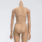 Representative 1:6 headless figure base body, rear torso shell and articulated joints