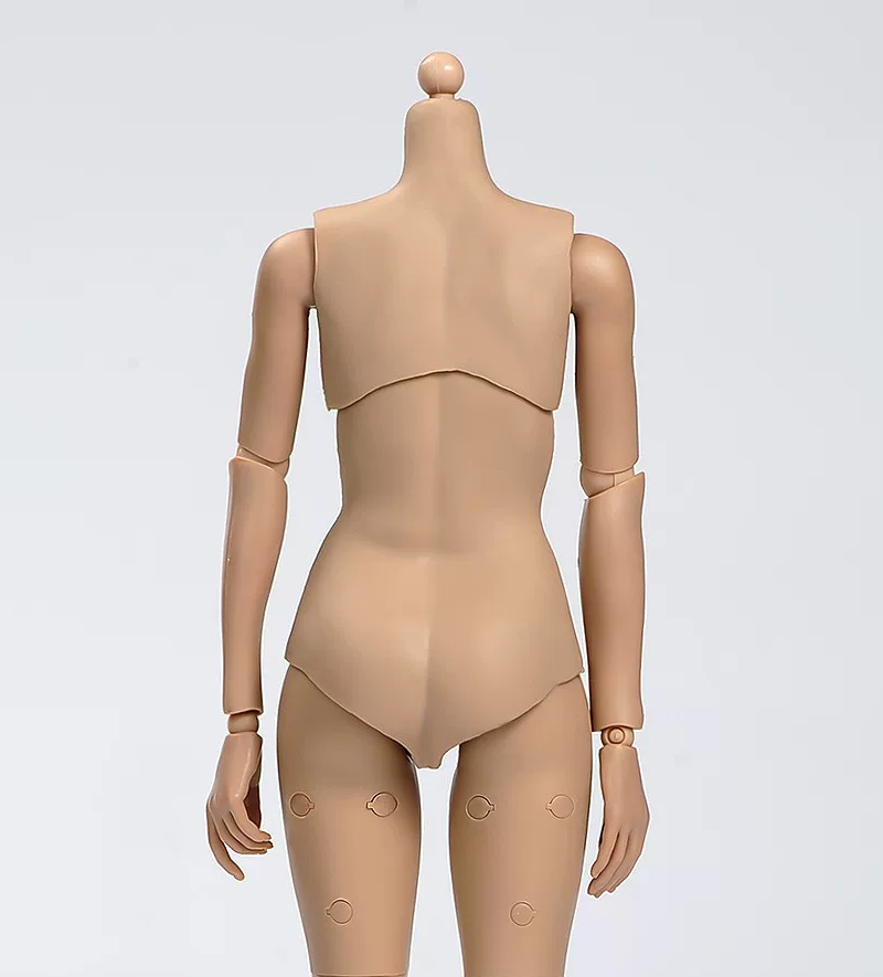 Representative 1:6 headless figure base body, rear torso shell and articulated joints