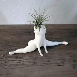 White split-pose planter holding a small plant, front view