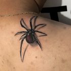 Black spider tattoo shown at shoulder