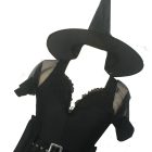Black witch dress costume bodice, mesh sleeve and witch hat closeup