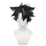 Fontaine Wriothesley Wig - Genshin Impact Black Grey Hairpiece