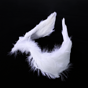 White feather swan headpiece