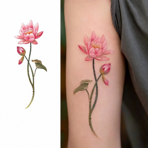 Tall pink lotus bloom, side bud and green leaf on arm