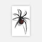 Black shaded spider temporary tattoo sheet